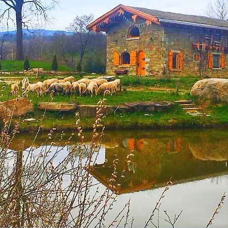 Cabana Casa De Piatra, De La Mara Deseşti 외부 사진